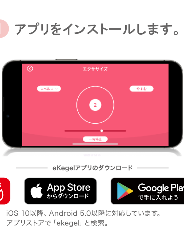 フェミメイト イーケーゲルライト/ Femimate eKegel Lite アダルトグッズ 膣トレ 膣トレーニング