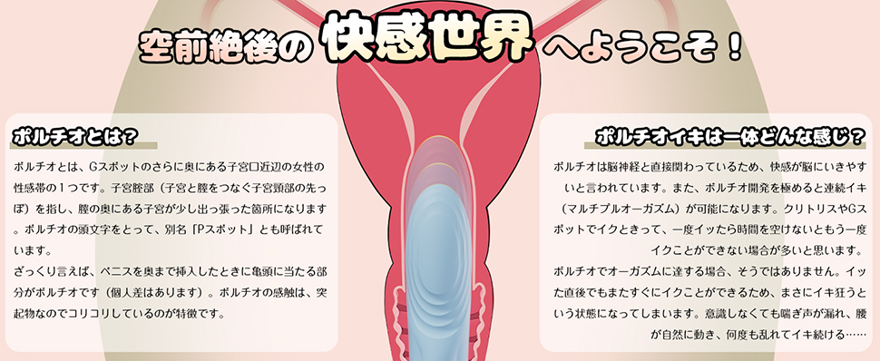 Evelia 潮吹きバイブ ピストン・双面叩き・吸引 膣内開発 中イキ ダルトグッズ