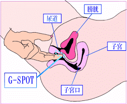 blog